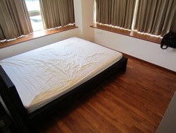 Mulberry Tree (D11), Apartment #199399832